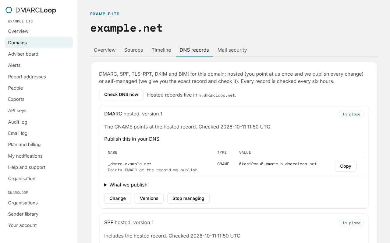 example.net’s DNS records tab, locked down, with the parked-domain records